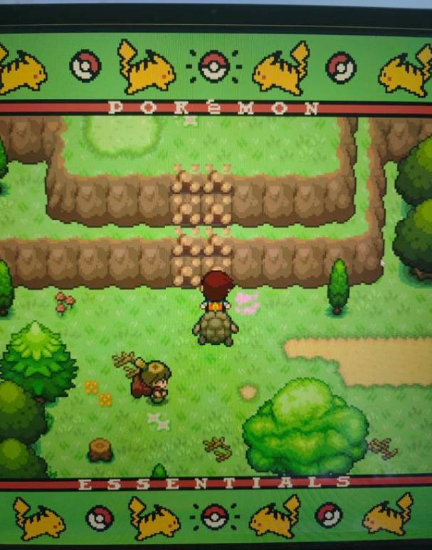 口袋妖怪磁力资源合集v1.3截图1