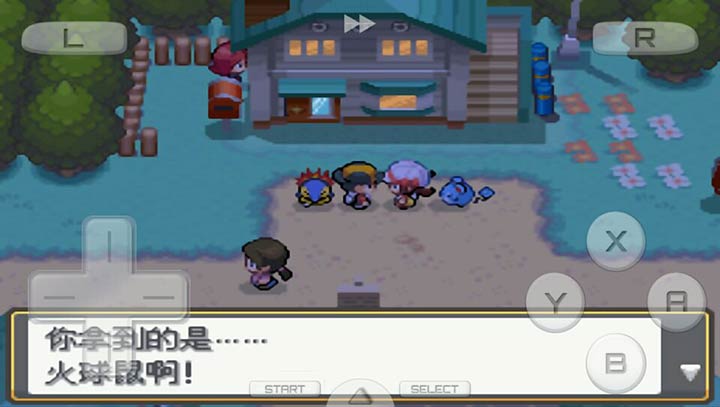 口袋妖怪：魂银 免通讯进化版v2.10截图3