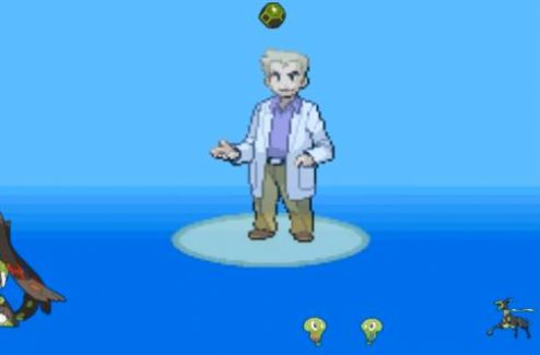 口袋妖怪金属红v3.0.3截图2