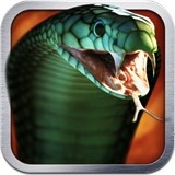 灵蛇杀手KillerSnake手机版v1.13