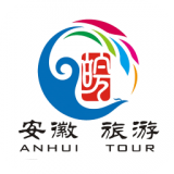 皖游通免费版v1.0.9