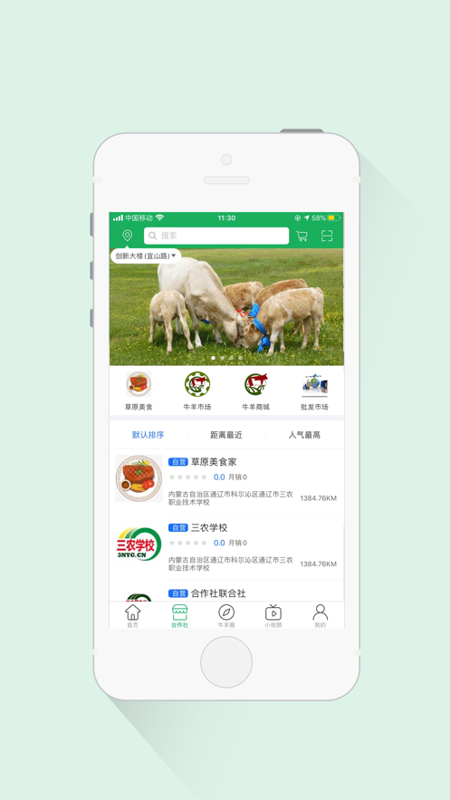 三农羊倌安卓版v1.11截图2