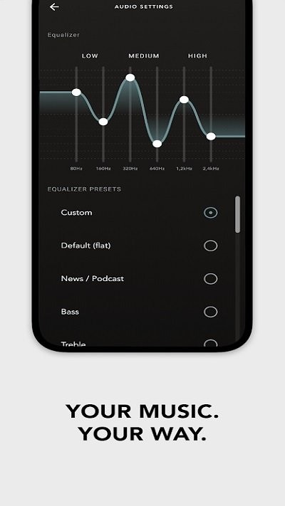 devialetgemini耳机免费版vV1.2.6截图3