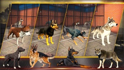 特别行动小组官网版v1.0.19截图1