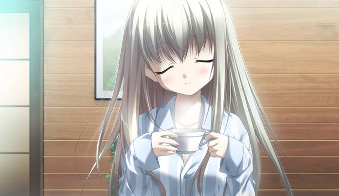 伊甸园galgame修改版v1.0.65截图4