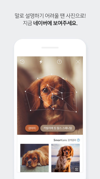 NAVERv11.6.10截图1