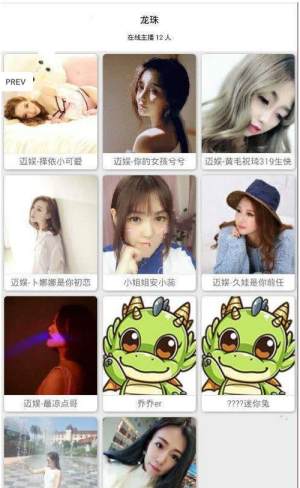 鲜花猫免费版v2.34截图3