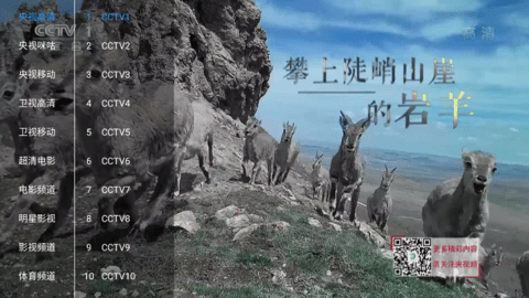 新喵影视全新版本v3.8.0截图2