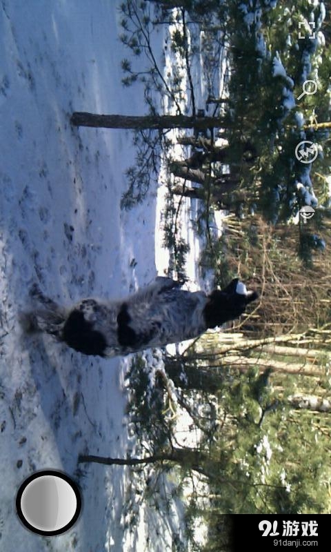 快速连拍相机v6.4.9截图2