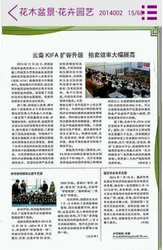 数字时代v1.32截图1