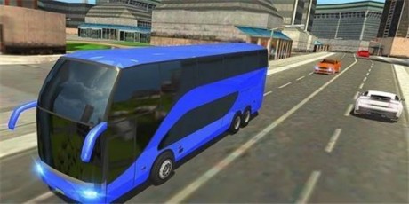 在巴西旅游v1.16截图1