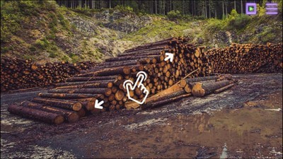 隐藏之猫v1.7截图2