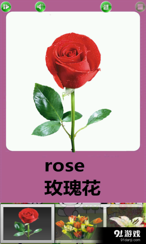 认识花卉宝宝早教v2.97截图2