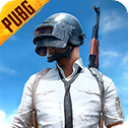 pubg正式版v1.1.5