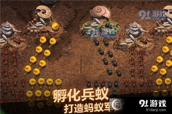 小小蚁国九游版v1.1.19截图2