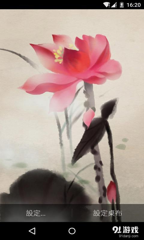 水荷花v1.5.16截图3