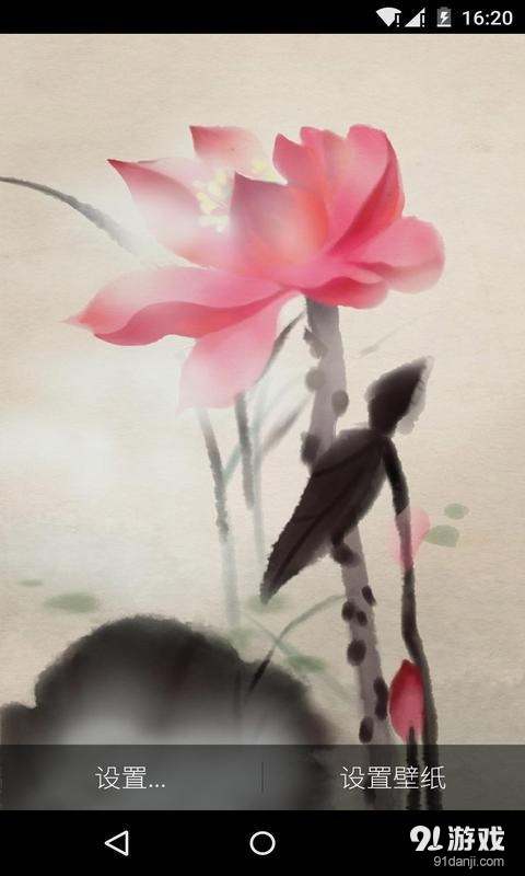 水荷花v1.5.16截图4