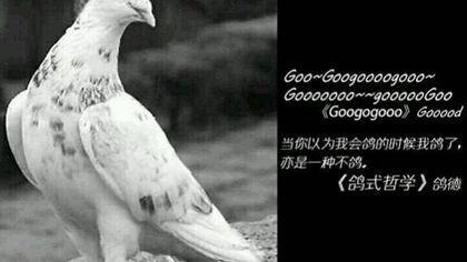 开拓神秘岛 CNv1.05截图1