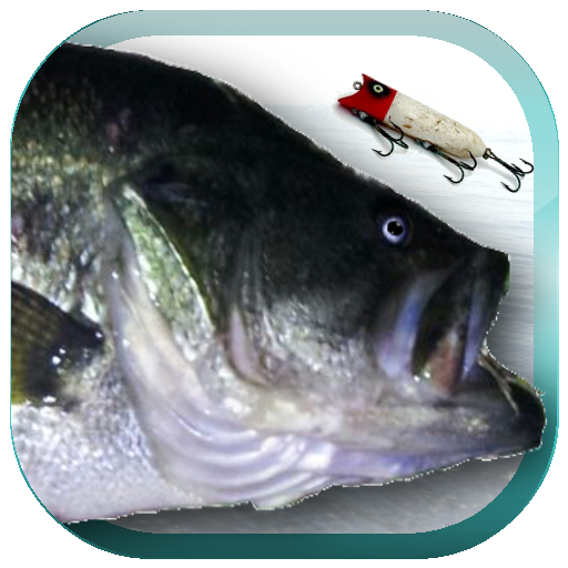 鱼饵垂钓 Lure Nushi Fish...v2.8.8