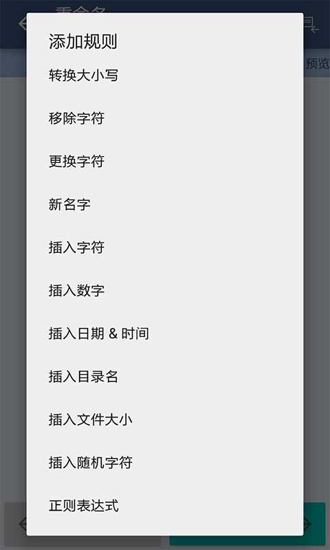 批量重命名工具v1.8截图2