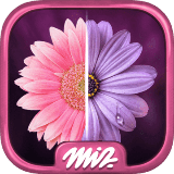 寻找区别花卉v2.13