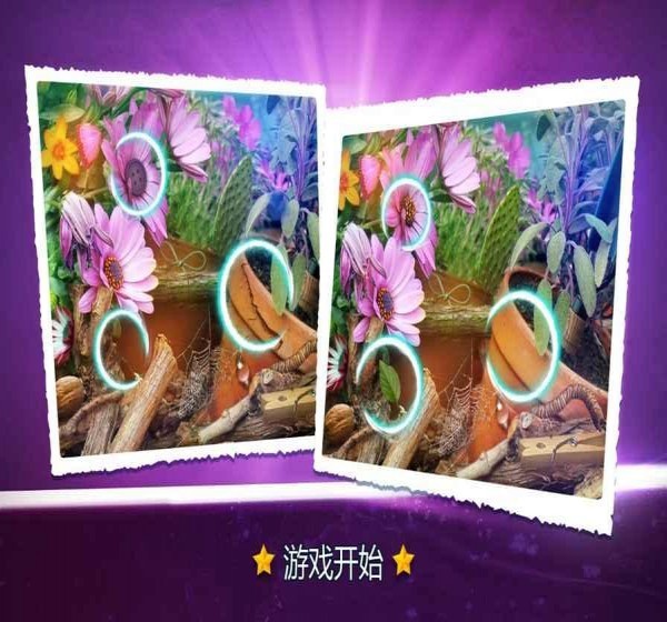 寻找区别花卉v2.13截图1