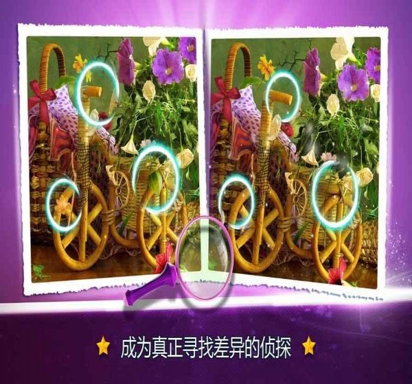 寻找区别花卉v2.13截图2