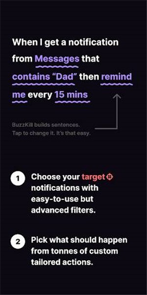 BuzzKillv1.15截图2