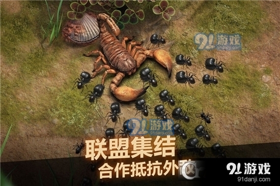 小小蚁国九游版v1.1.19截图4