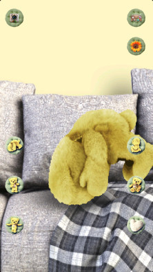 Talking Bear Plushv1.5.6截图2