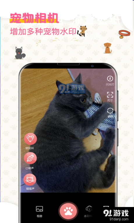 宠物趣味翻译器v3.3.34截图4