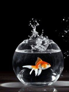 3d透明动态壁纸v3.21.0836截图4