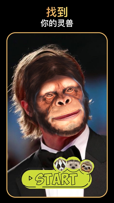 Banuba软件v3.19.5截图2