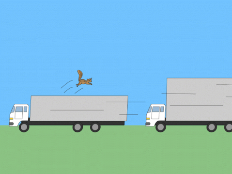 猫跨栏v1.3.4截图2