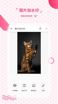 去水印相机v1.12.3截图2