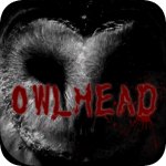 猫头鹰之头v1.6
