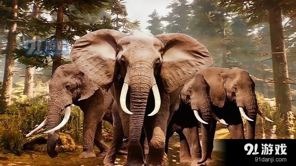 丛林狙击兵狩猎v1.7截图2