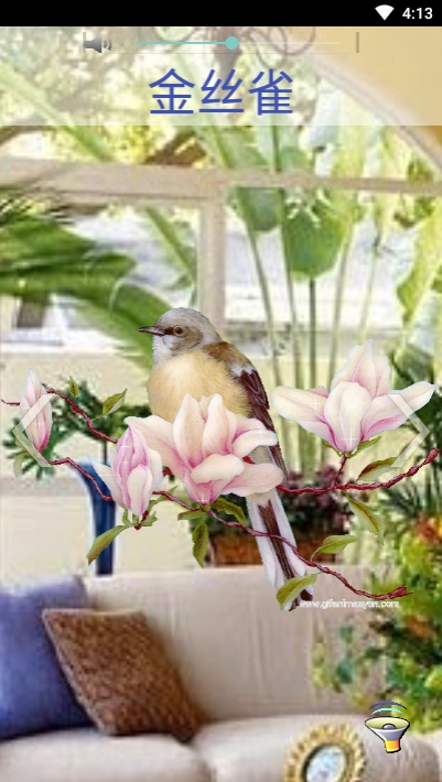 Green奇妙声音v1.7截图3