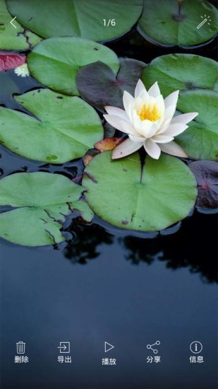 相册管家v5.3.12截图4