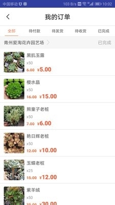 花多采供应商v1.15截图4