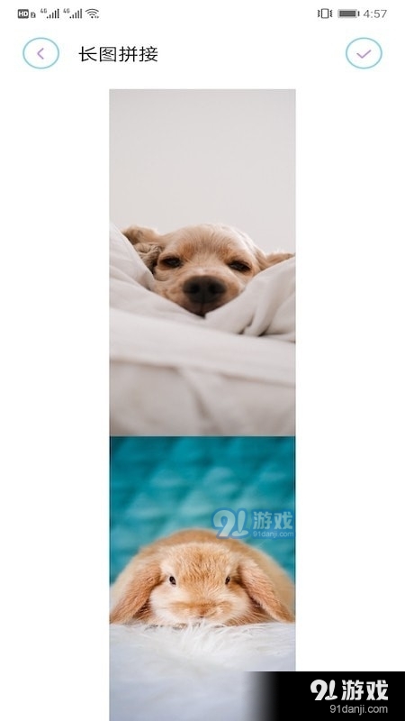 拼长图大师v1.8截图4