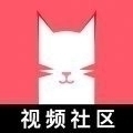 猫咪app视频免费版v1.1.9