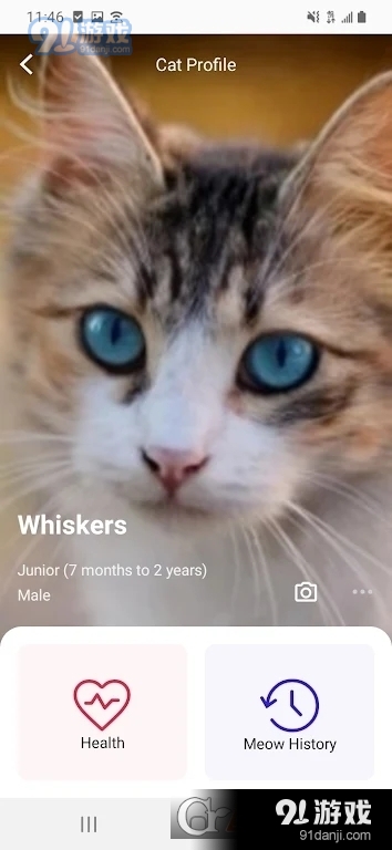 MeowTalk喵说安卓版v1.4.5截图3