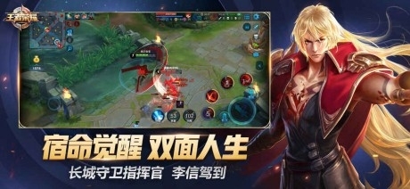 王者荣耀战绩显示工具v1.8截图3