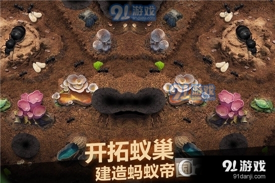 小小蚁国九游版v1.1.19截图3