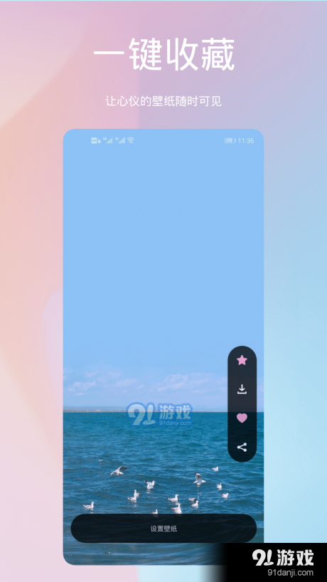 鹦鹉螺壁纸v1.3.9截图2