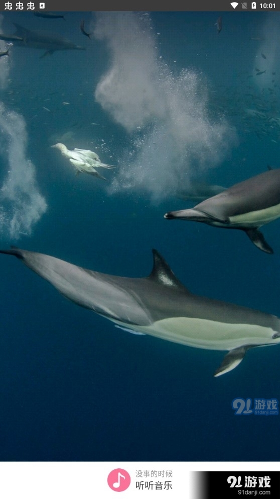 听听音乐国际版v1.2.5截图1