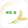 湘稻道v10.9