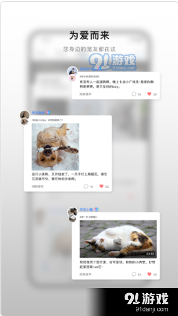 小它宠物v1.7截图2