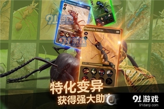 小小蚁国九游版v1.1.19截图1